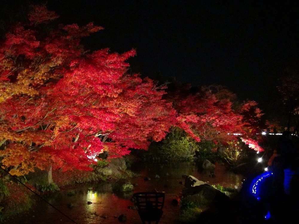Kaze no Tani no Iori