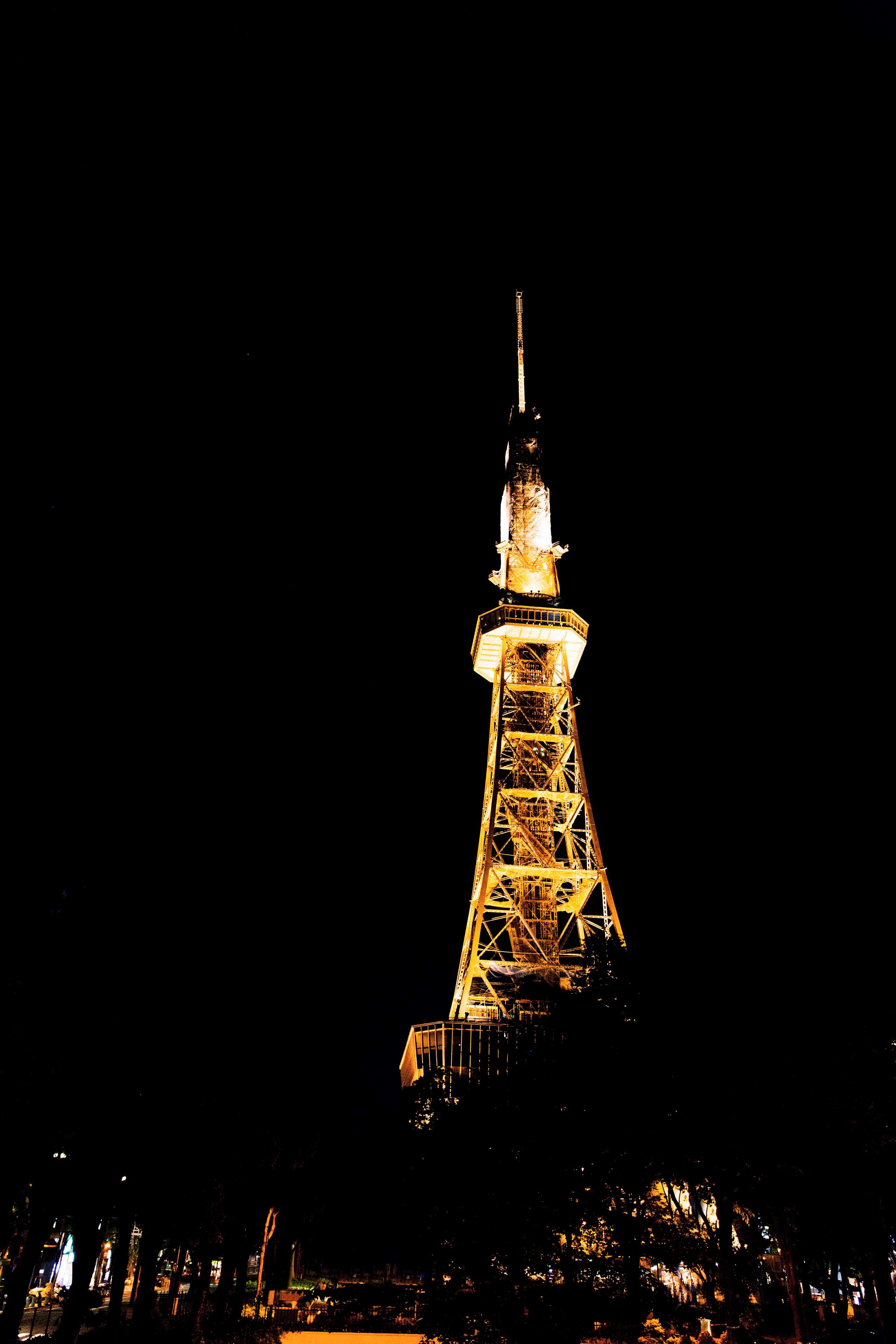 Nagoya Castle