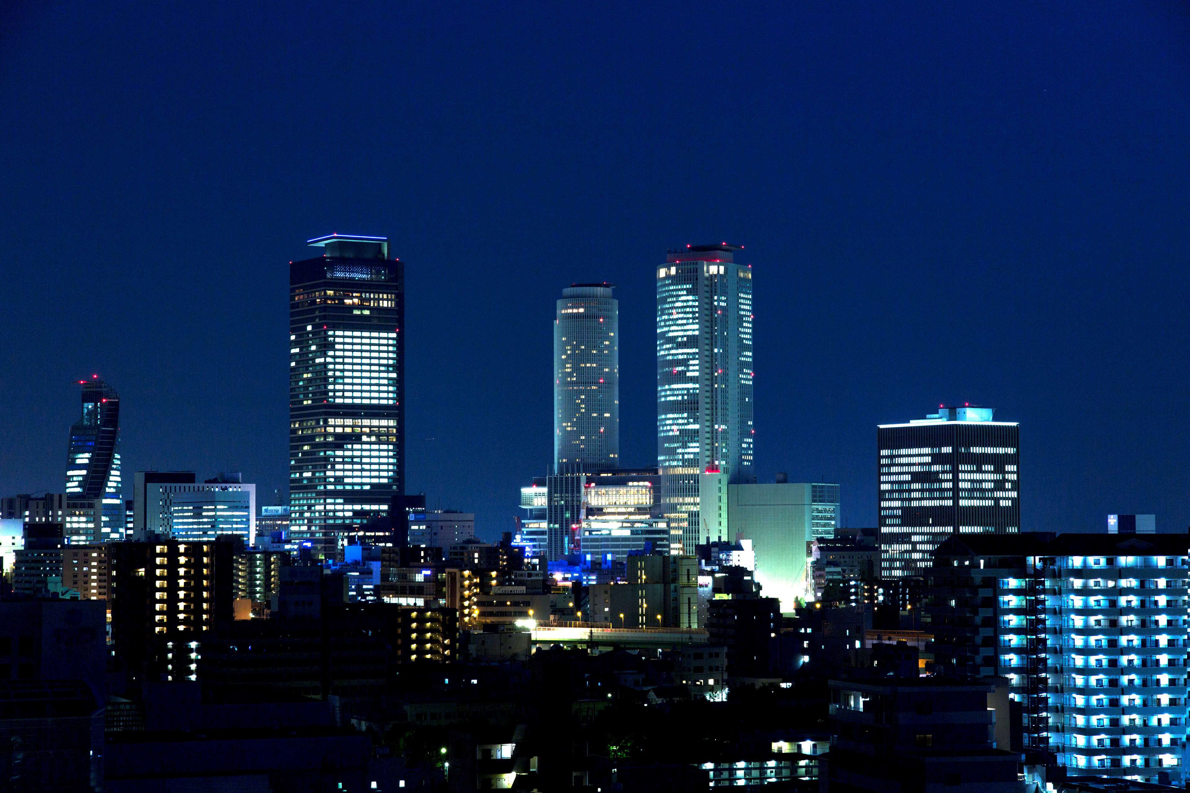 Nagoya Castle