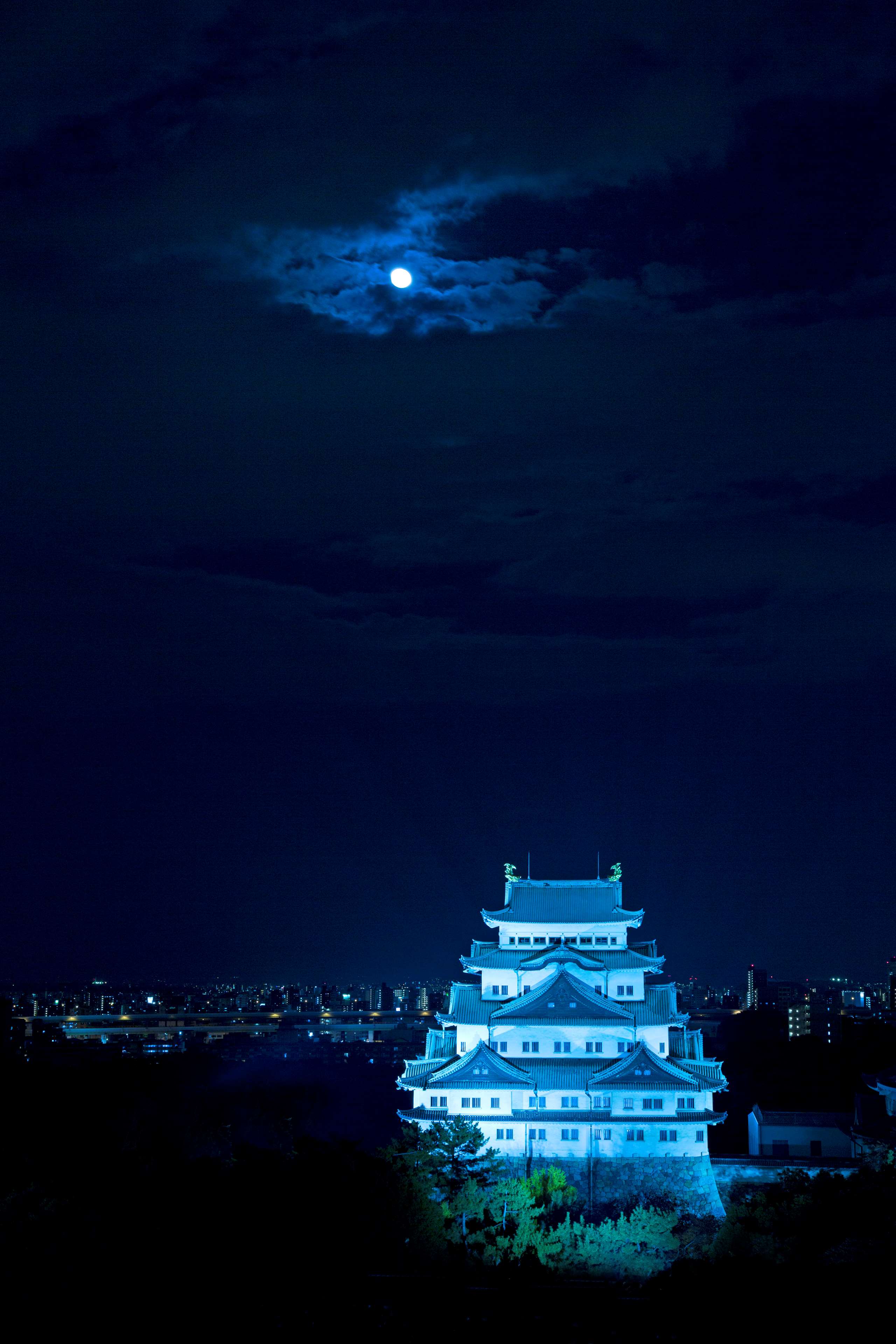 Nagoya Castle