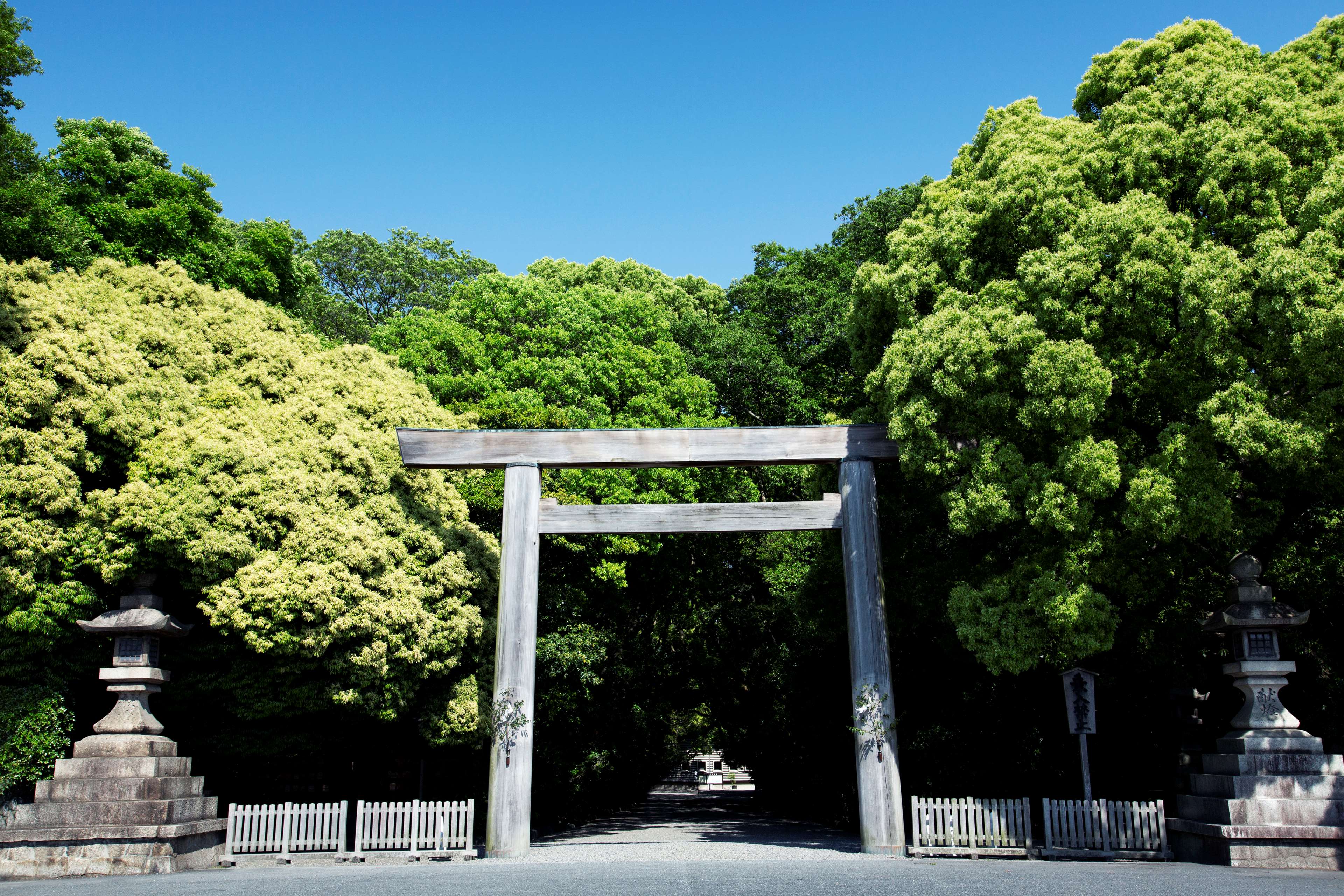 Nagoya Castle