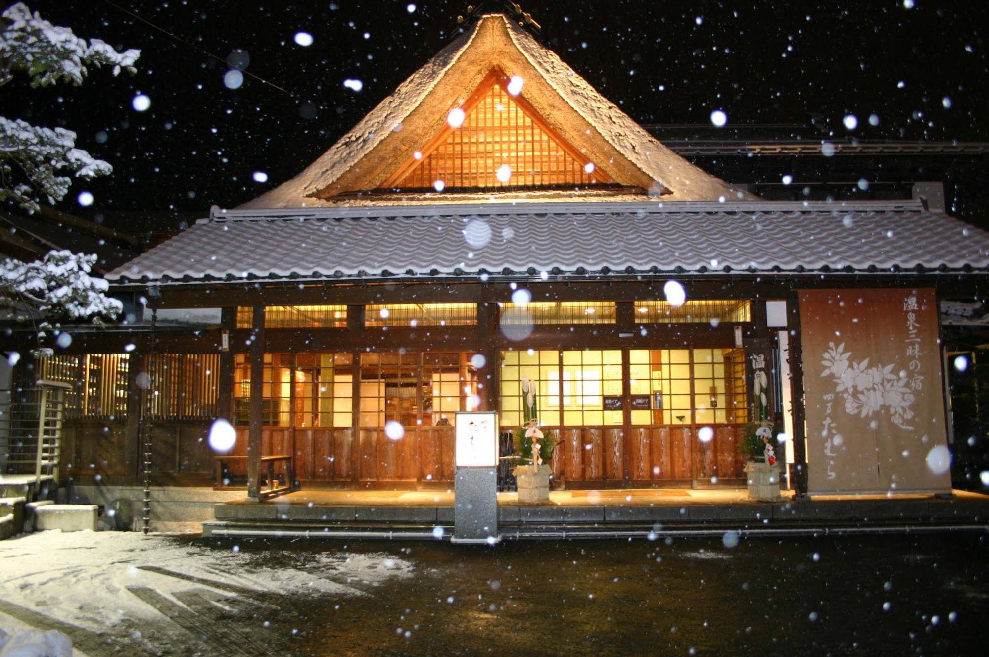 Shima Tamura