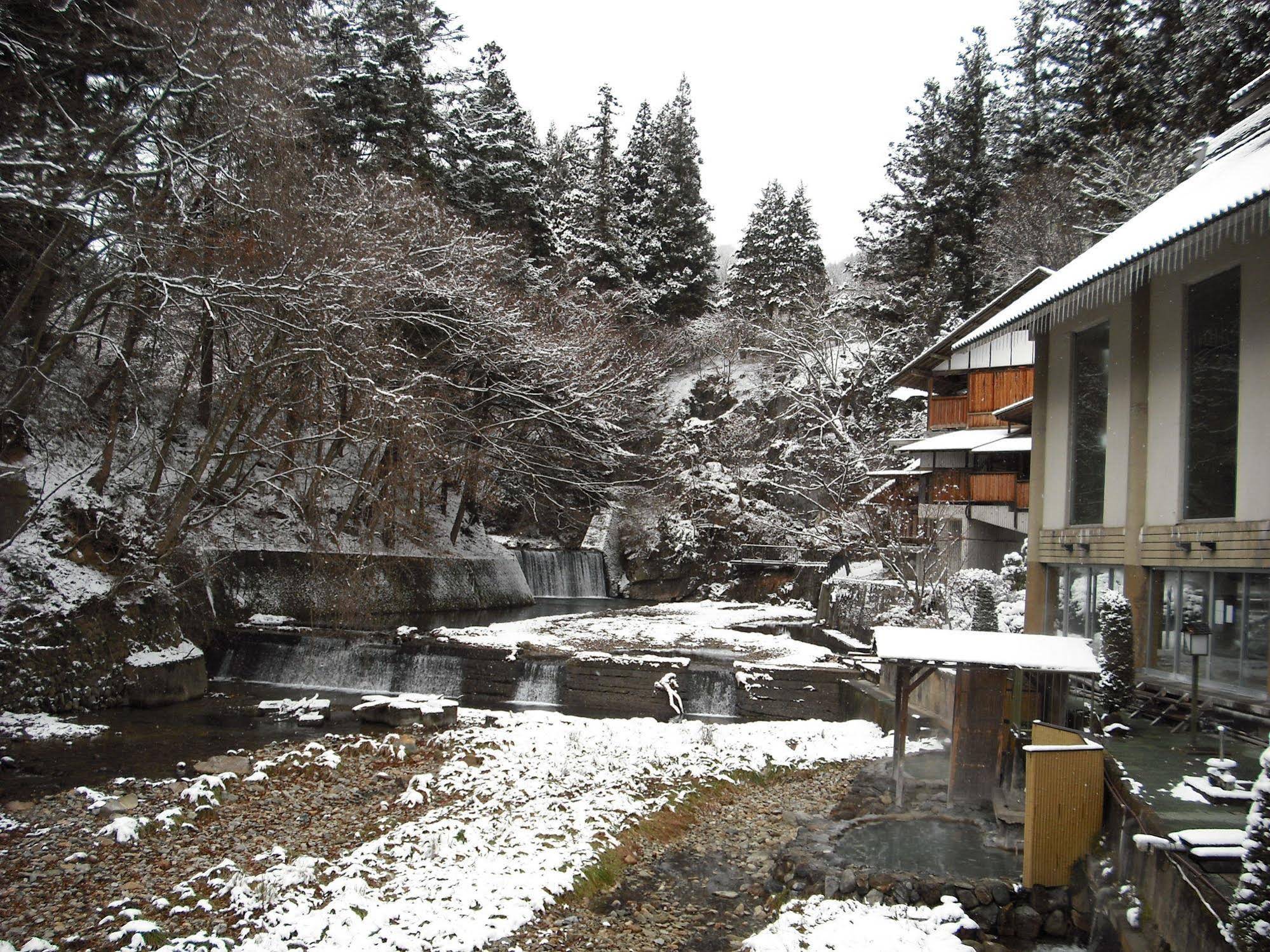 Shima Tamura