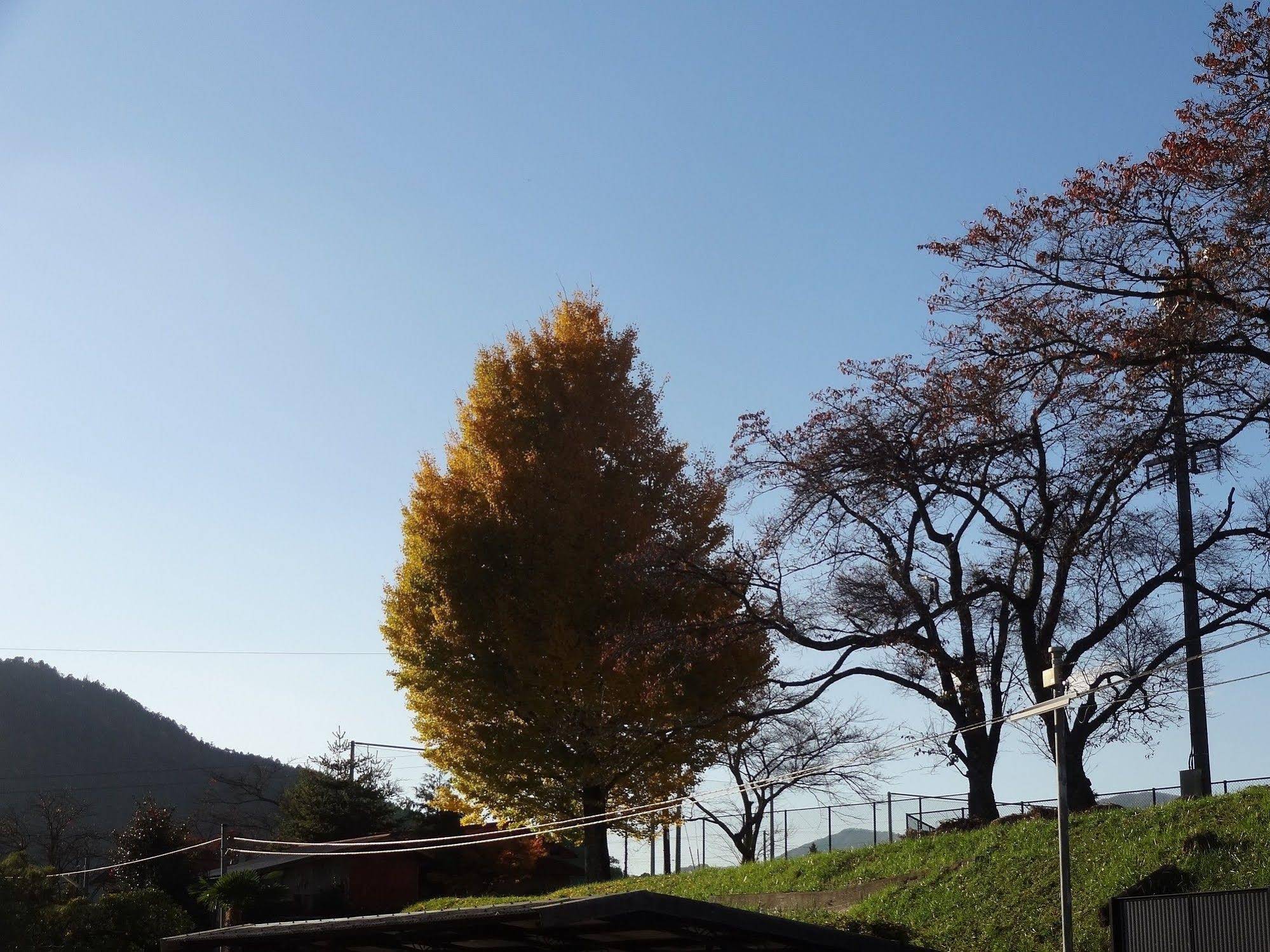 Miyama Futon & Breakfast Thatched Cottages