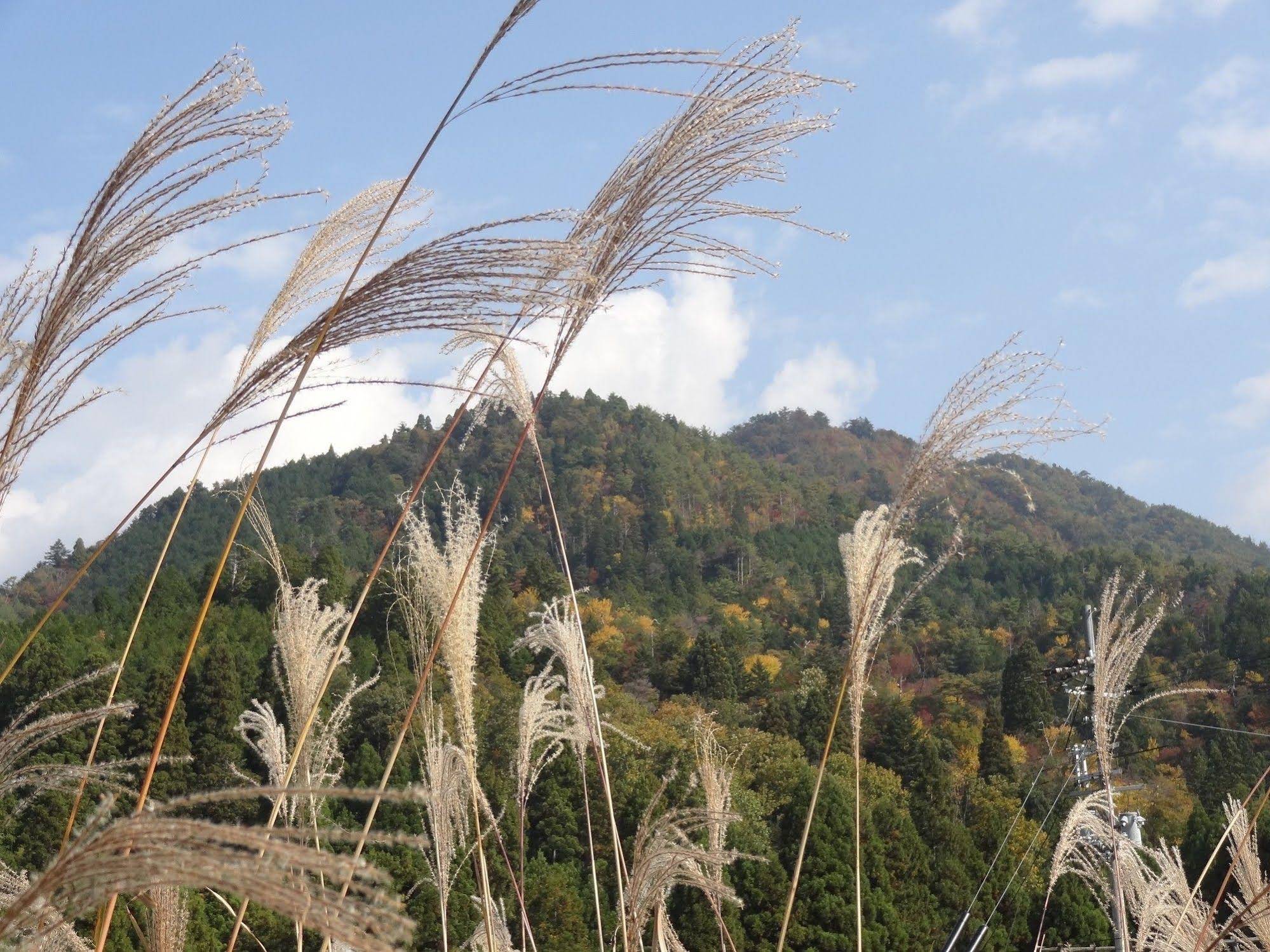 Miyama Futon & Breakfast Thatched Cottages