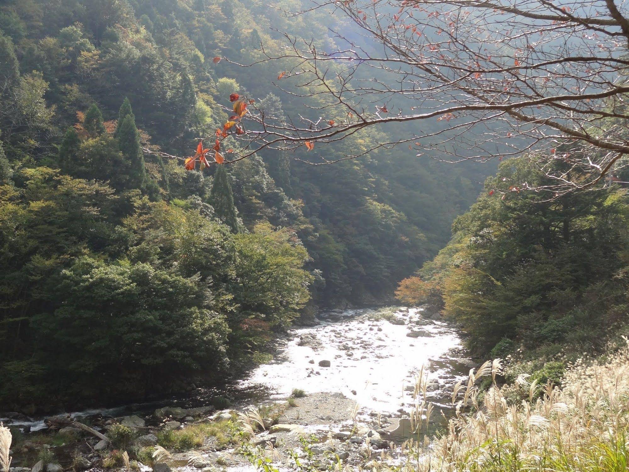 Miyama Futon & Breakfast Thatched Cottages