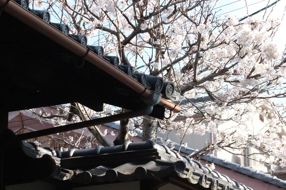 Haruya Hostels Naramachi