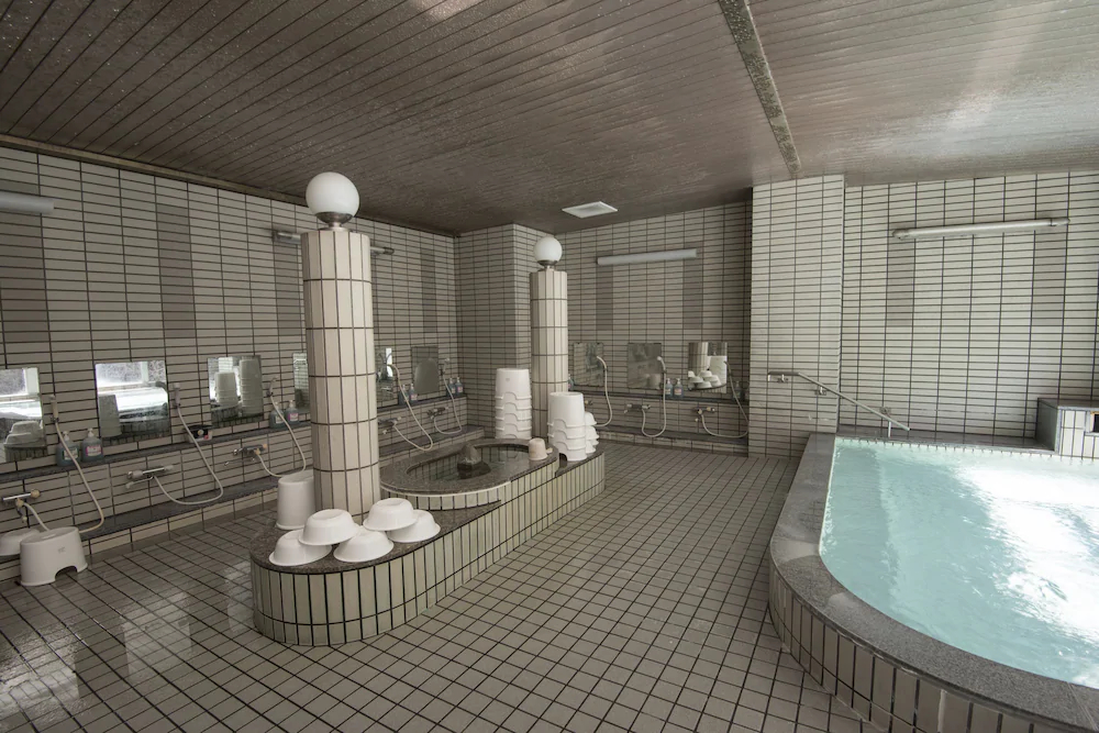 Hotel Nosegawa