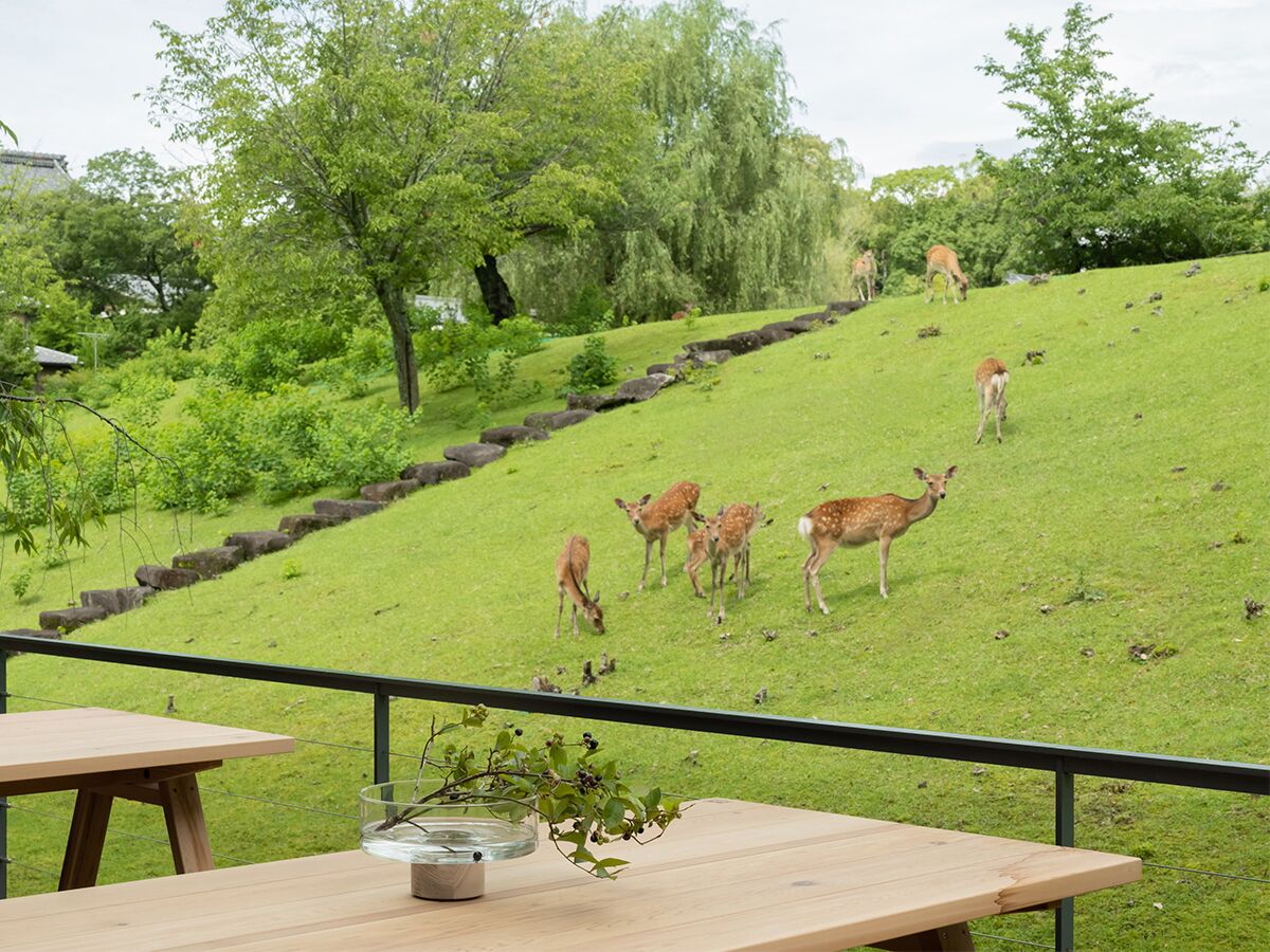 Miroku Nara By The Share Hotels