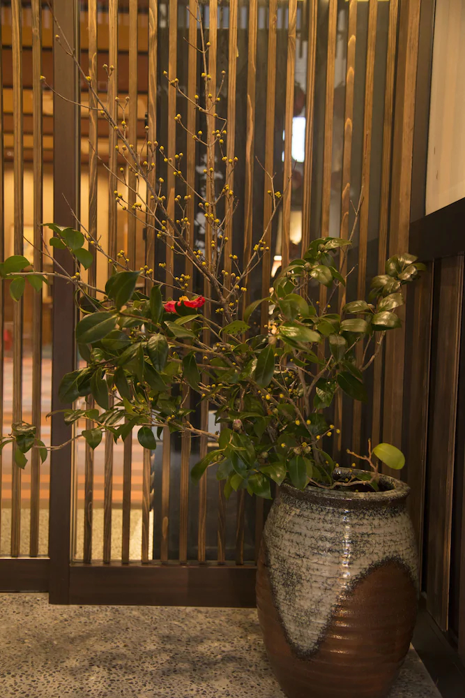 Tenpyo Ryokan