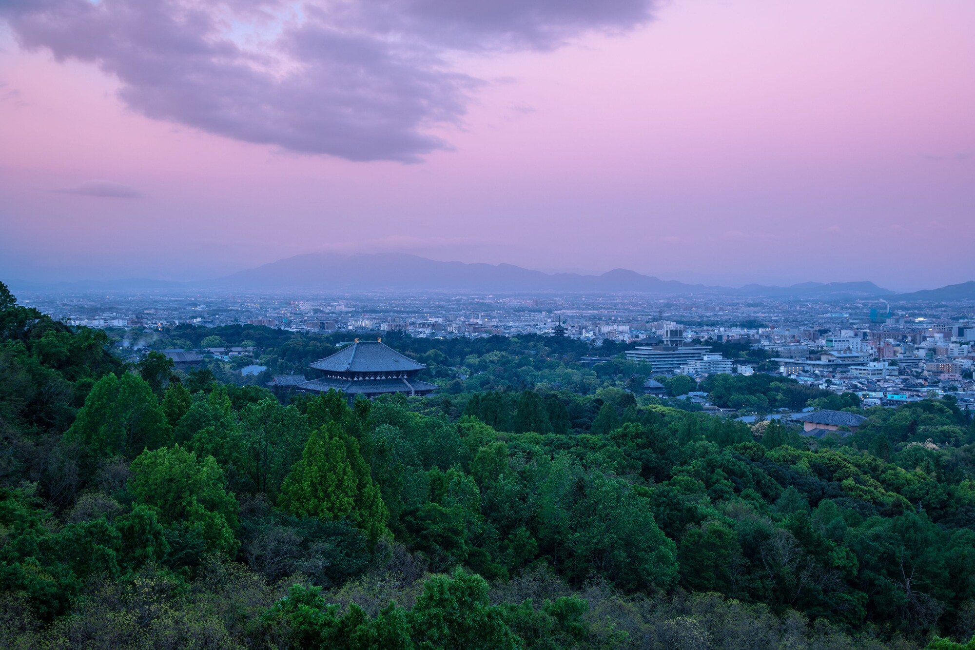 Ando Hotel Nara Wakakusayama