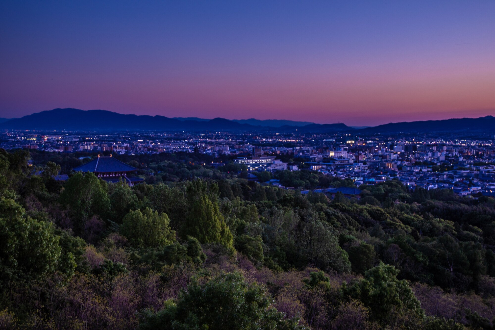 Ando Hotel Nara Wakakusayama
