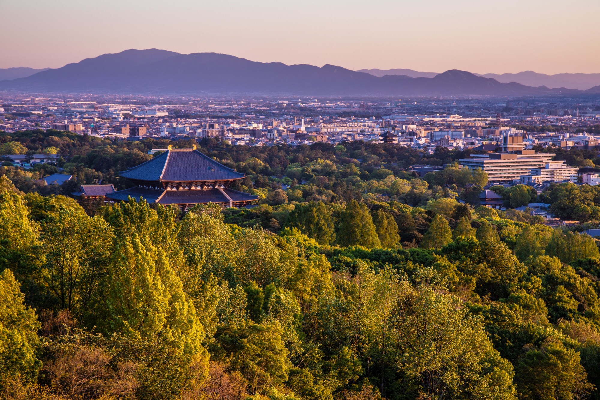Ando Hotel Nara Wakakusayama