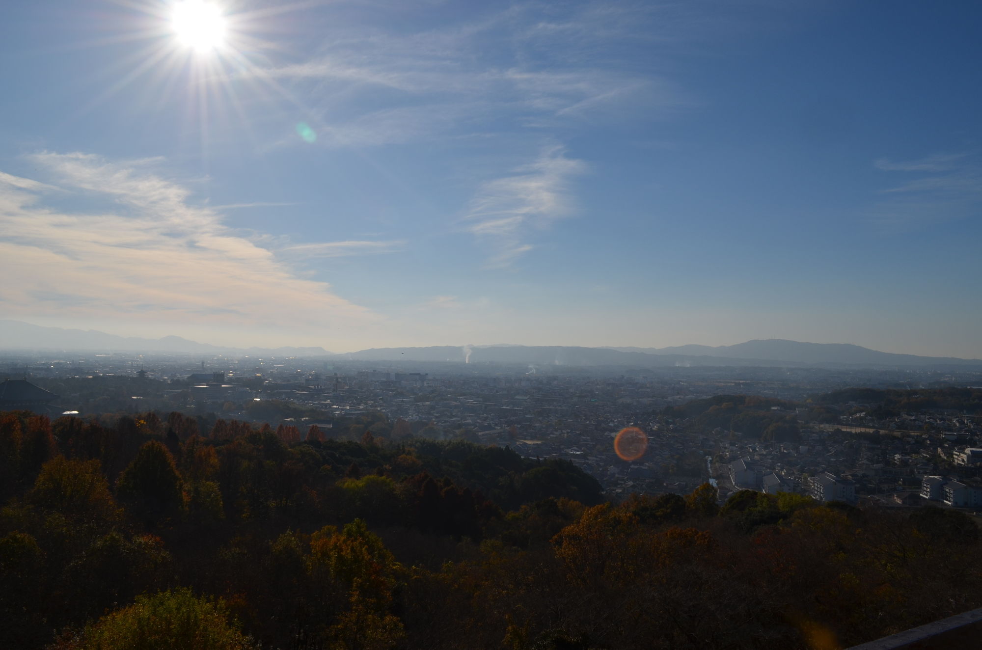 Ando Hotel Nara Wakakusayama