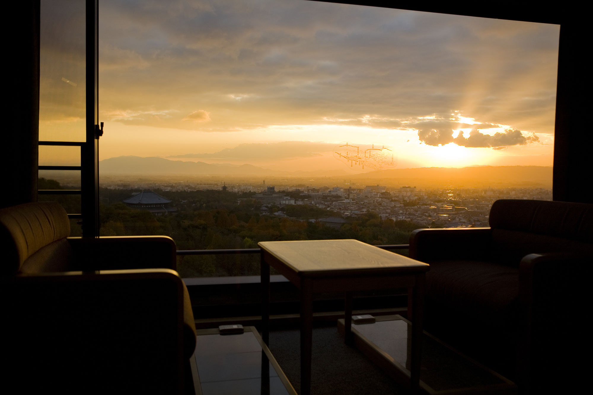 Ando Hotel Nara Wakakusayama