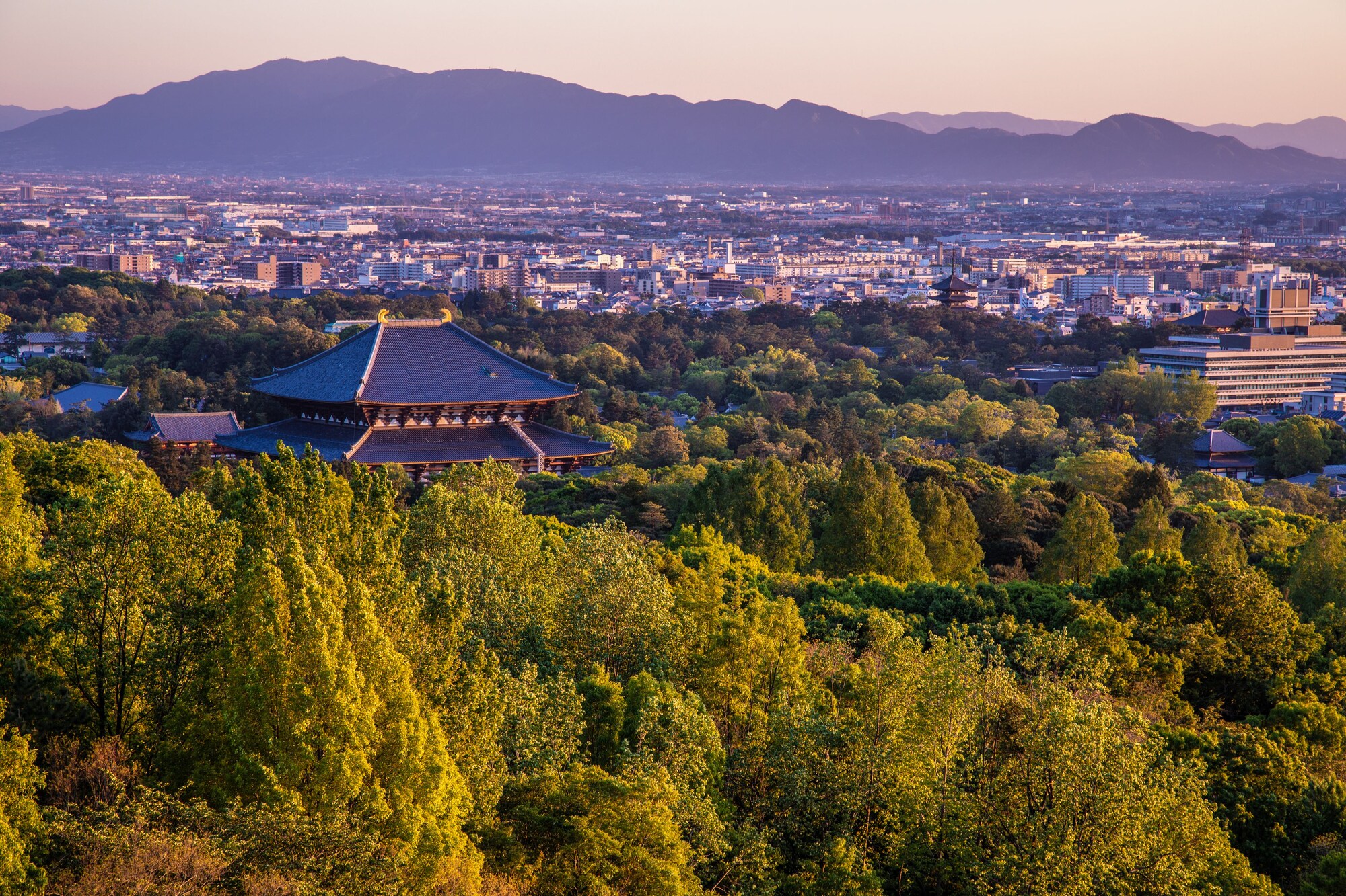 Ando Hotel Nara Wakakusayama