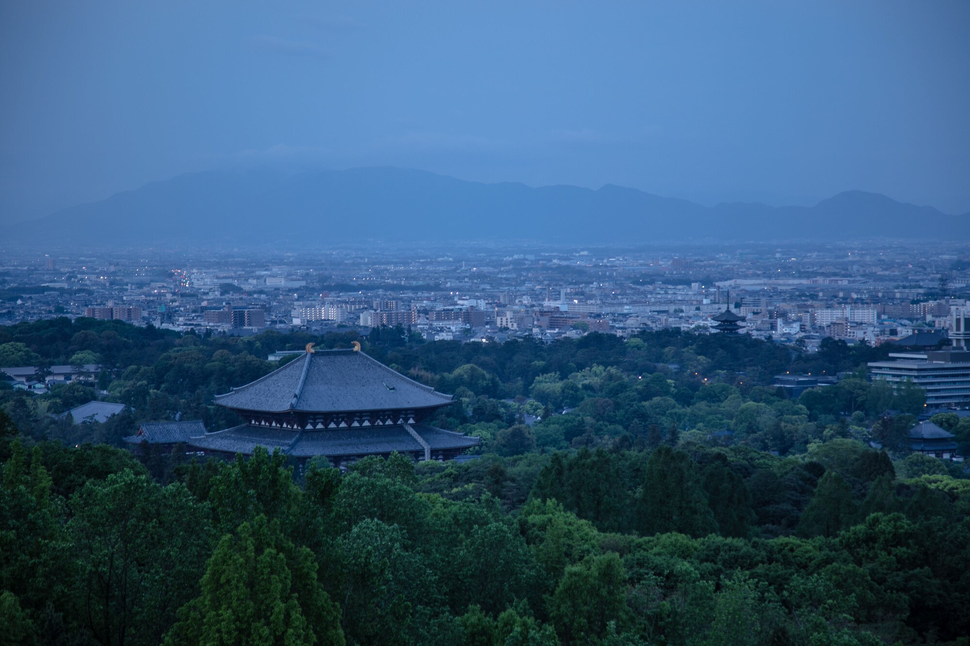 Ando Hotel Nara Wakakusayama