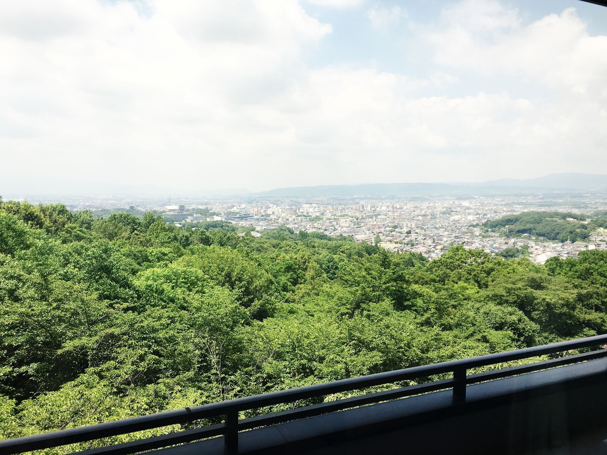Ando Hotel Nara Wakakusayama