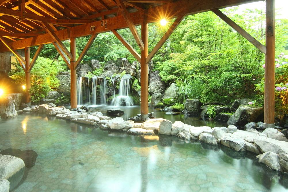 Hotel Épinard Nasu