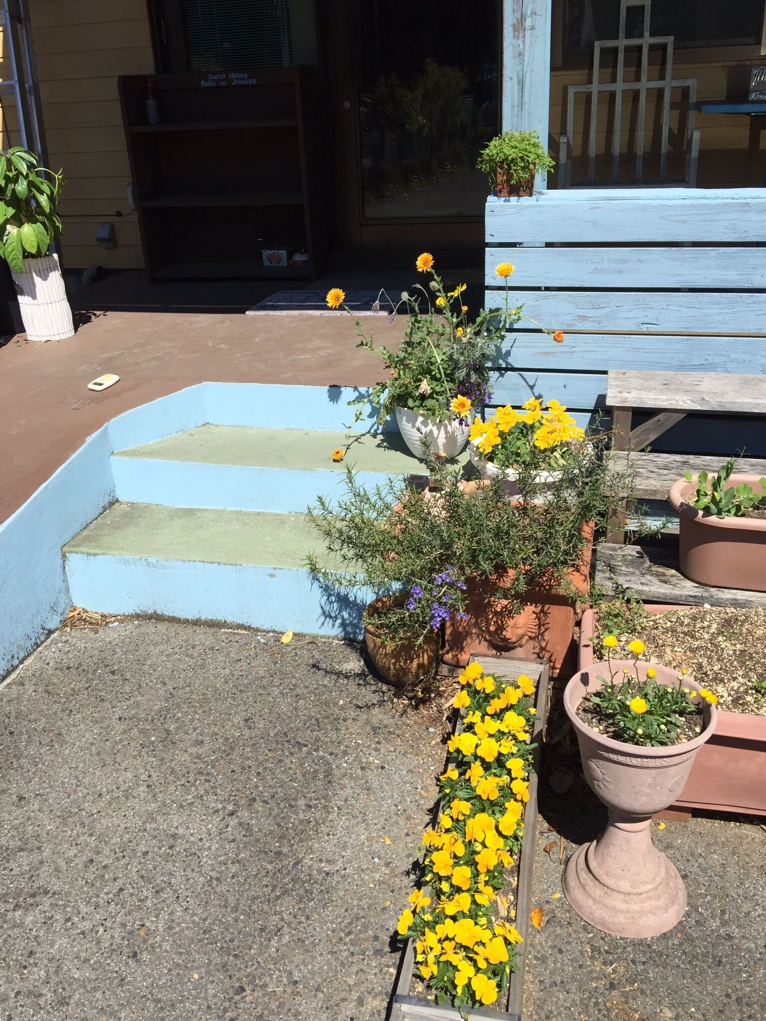 Guesthouse B&B Nekonojimusho
