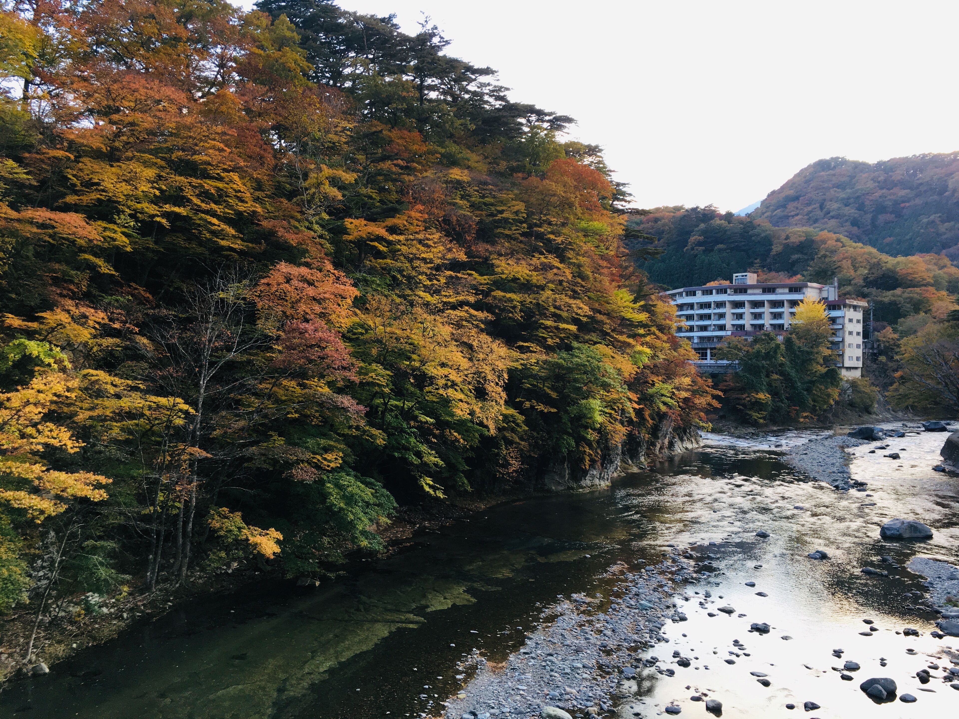 Nikko Garden Hotel