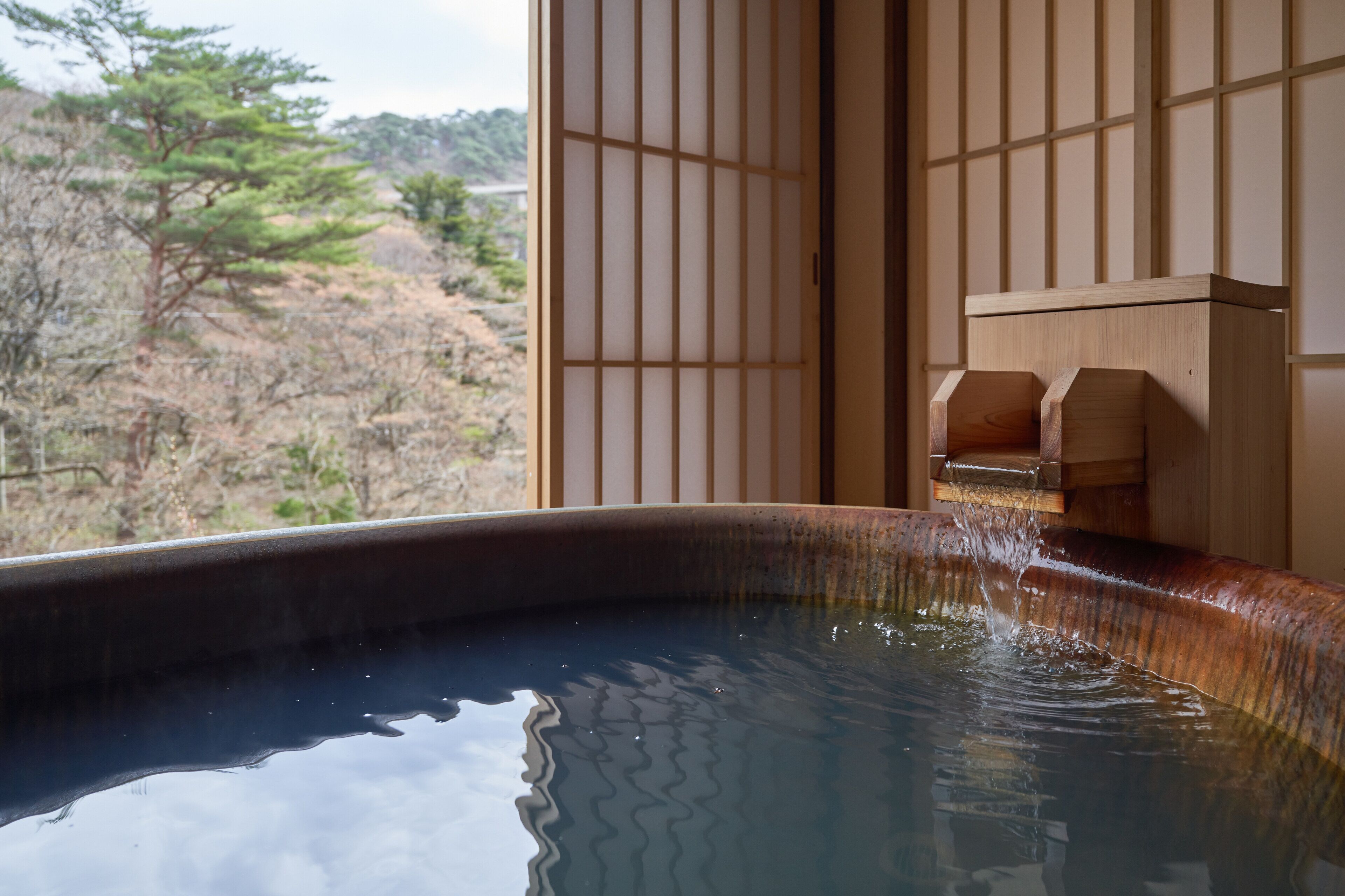Nikko Garden Hotel