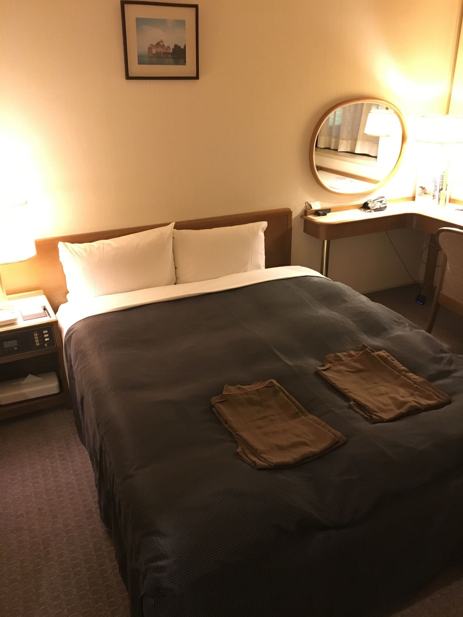 Niigata Daiichi Hotel