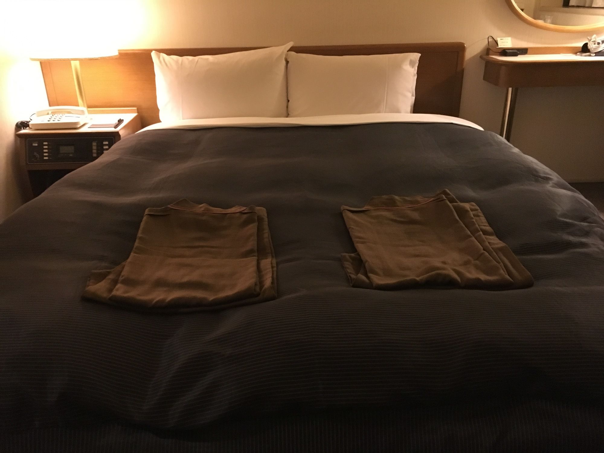 Niigata Daiichi Hotel