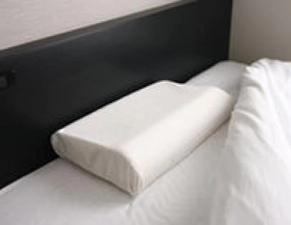 Niigata Park Hotel