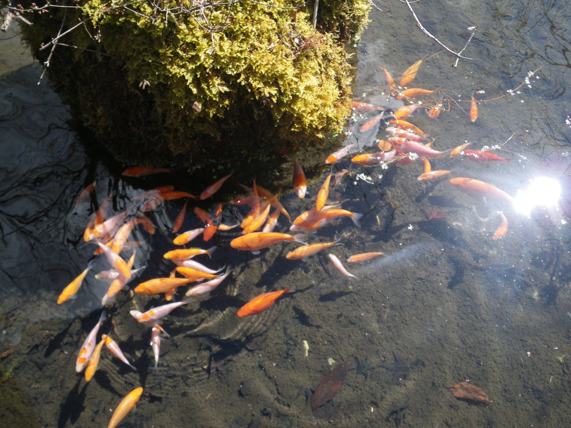 Okunoin Hotel Tokugawa