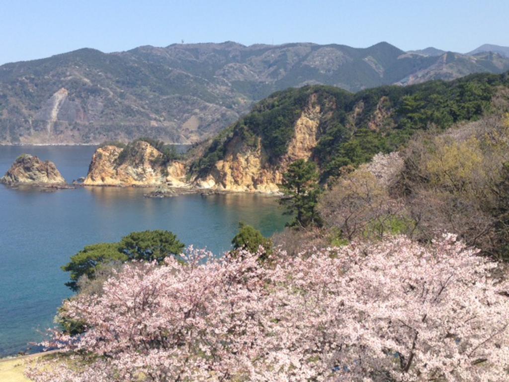 Dogashima Onsen Hotel