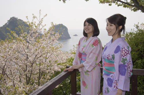 Dougashima Hotel Tenyu
