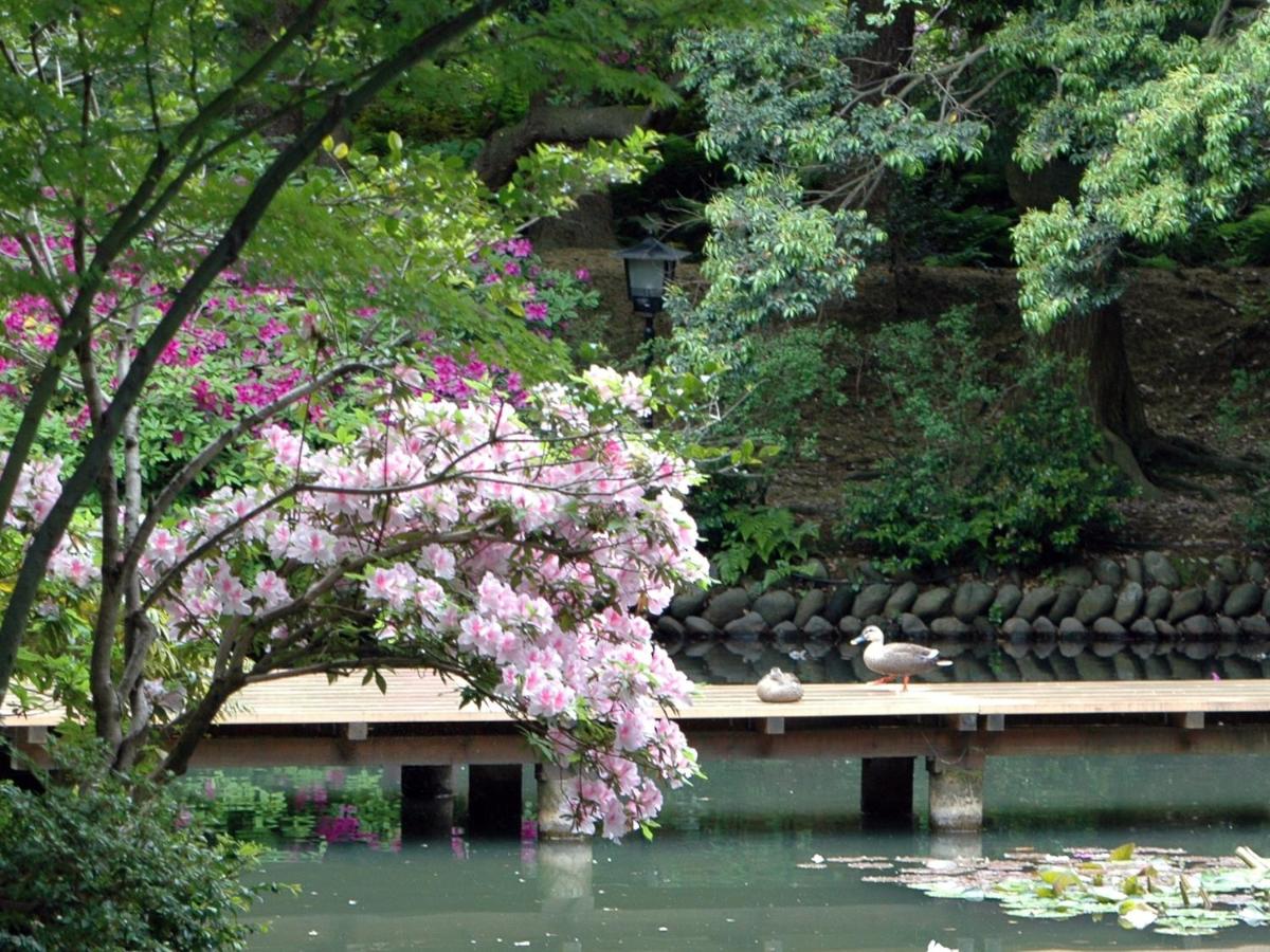 Matsusaki