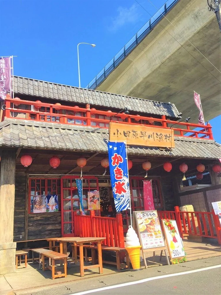 Martians Hotel Hayakawa