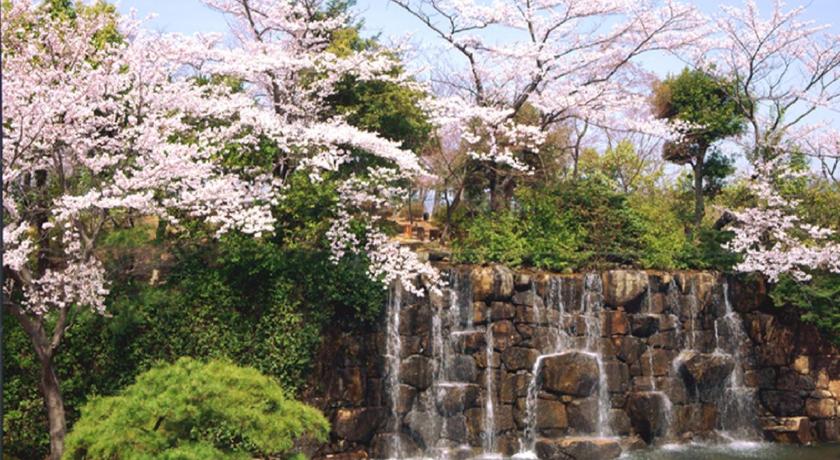 Okayama International