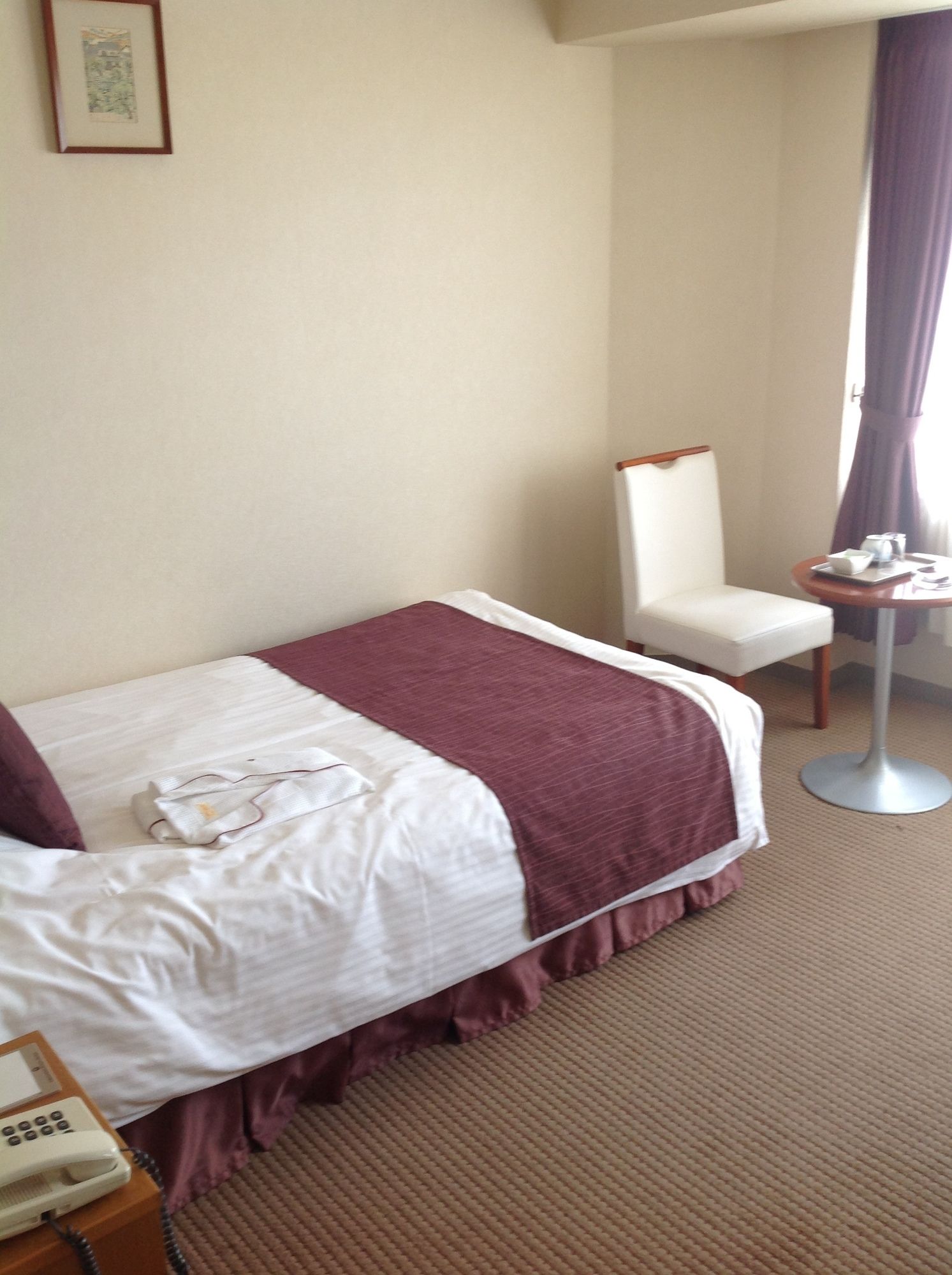 Okayama Plaza Hotel