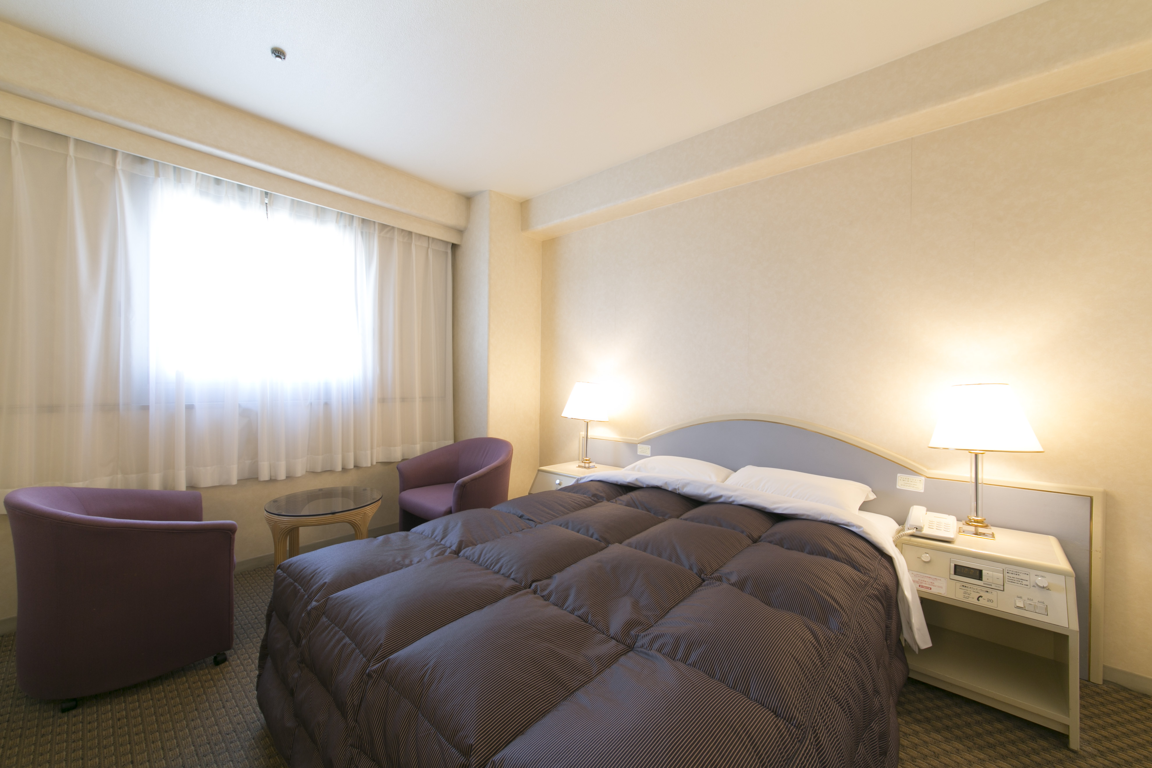 Okayama Washington Hotel Plaza