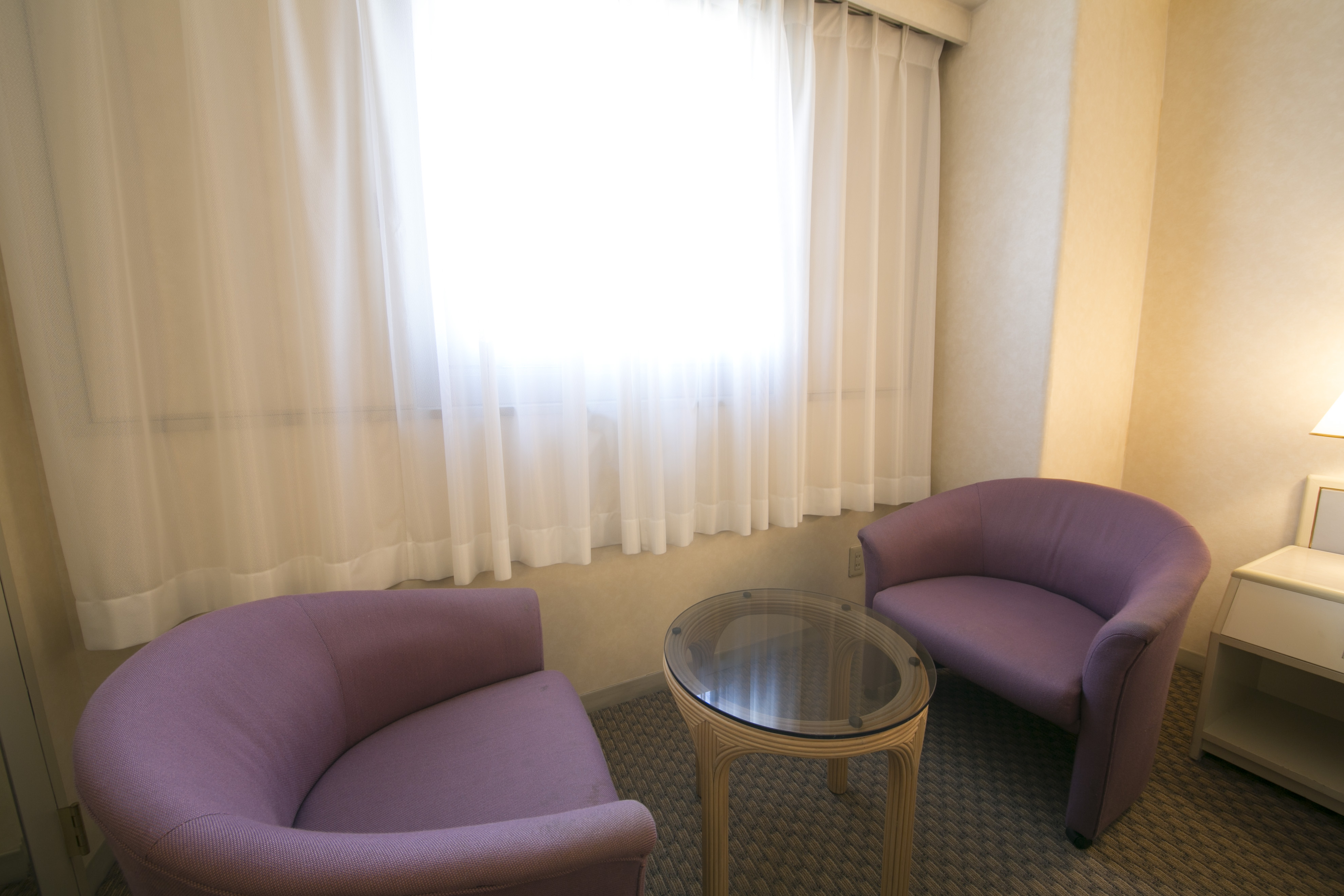 Okayama Washington Hotel Plaza