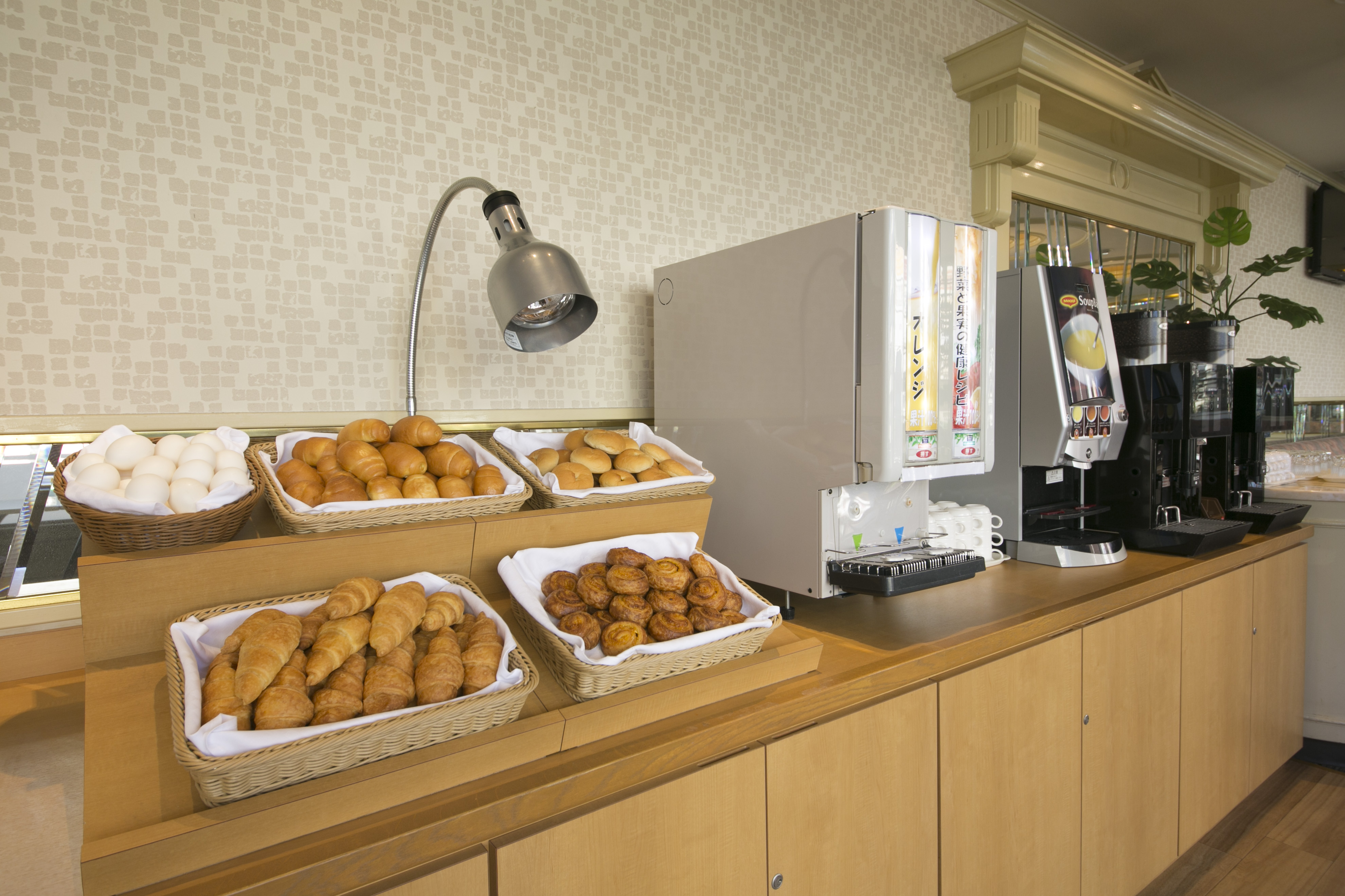 Okayama Washington Hotel Plaza