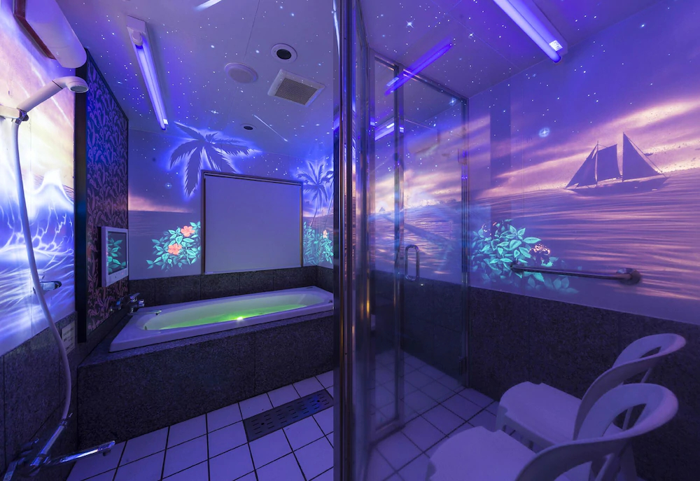 Hotel Baron Club - One Day Resort