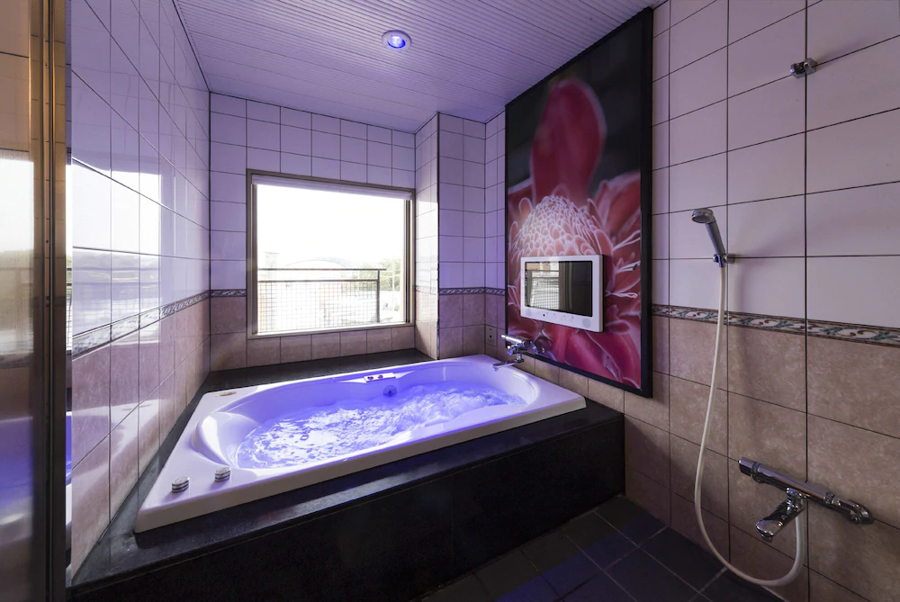 Hotel Baron Club - One Day Resort