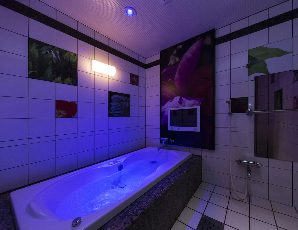 Hotel Baron Club - One Day Resort