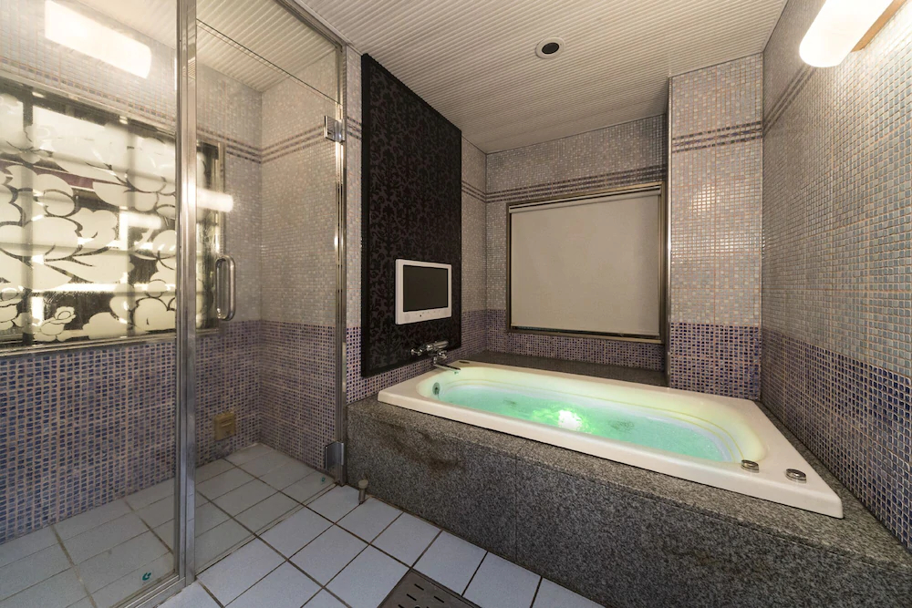 Hotel Baron Club - One Day Resort