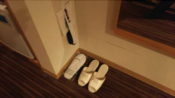 Okazaki New Grand Hotel