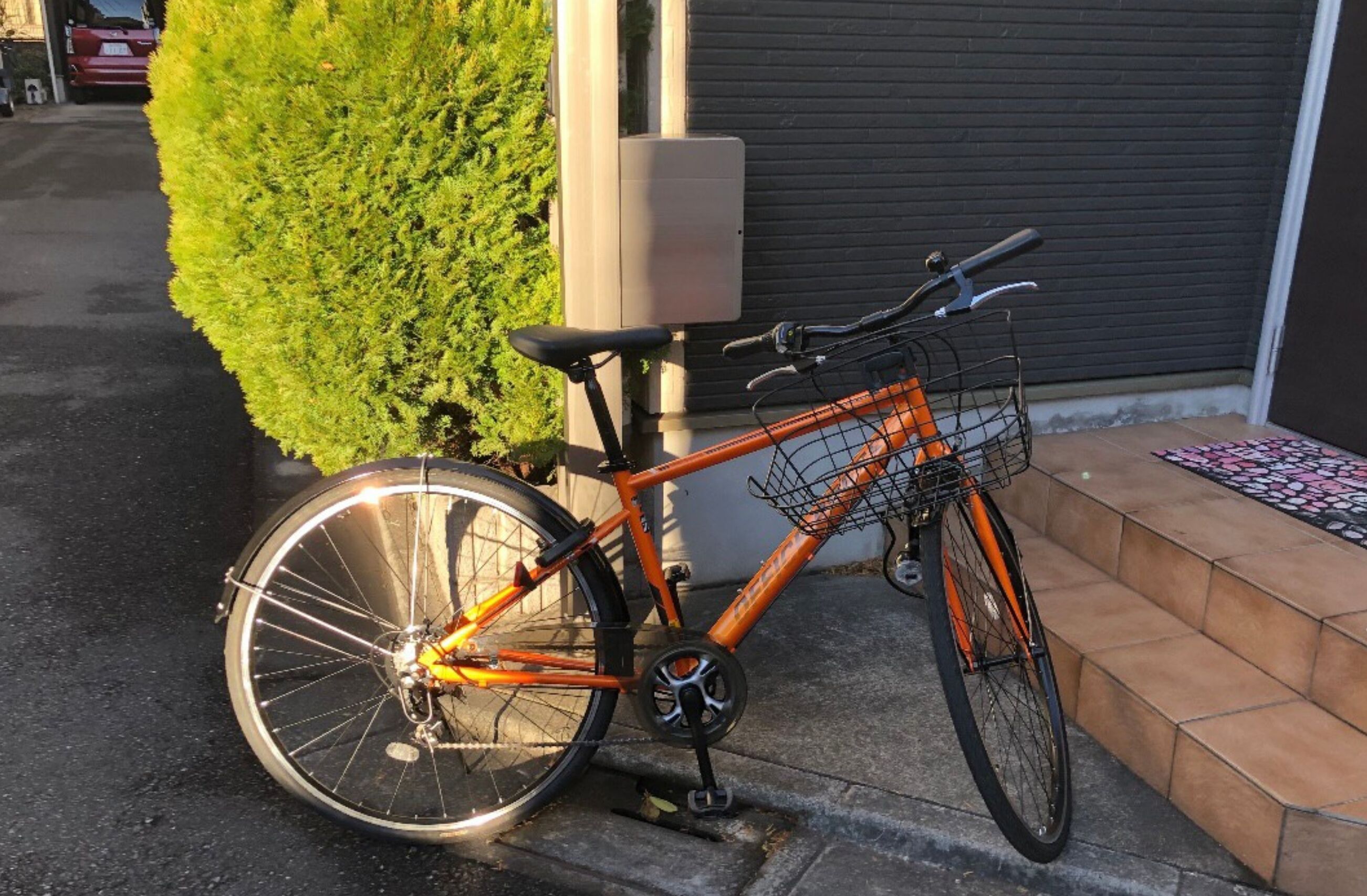 Naotoko Minpaku Hg1
