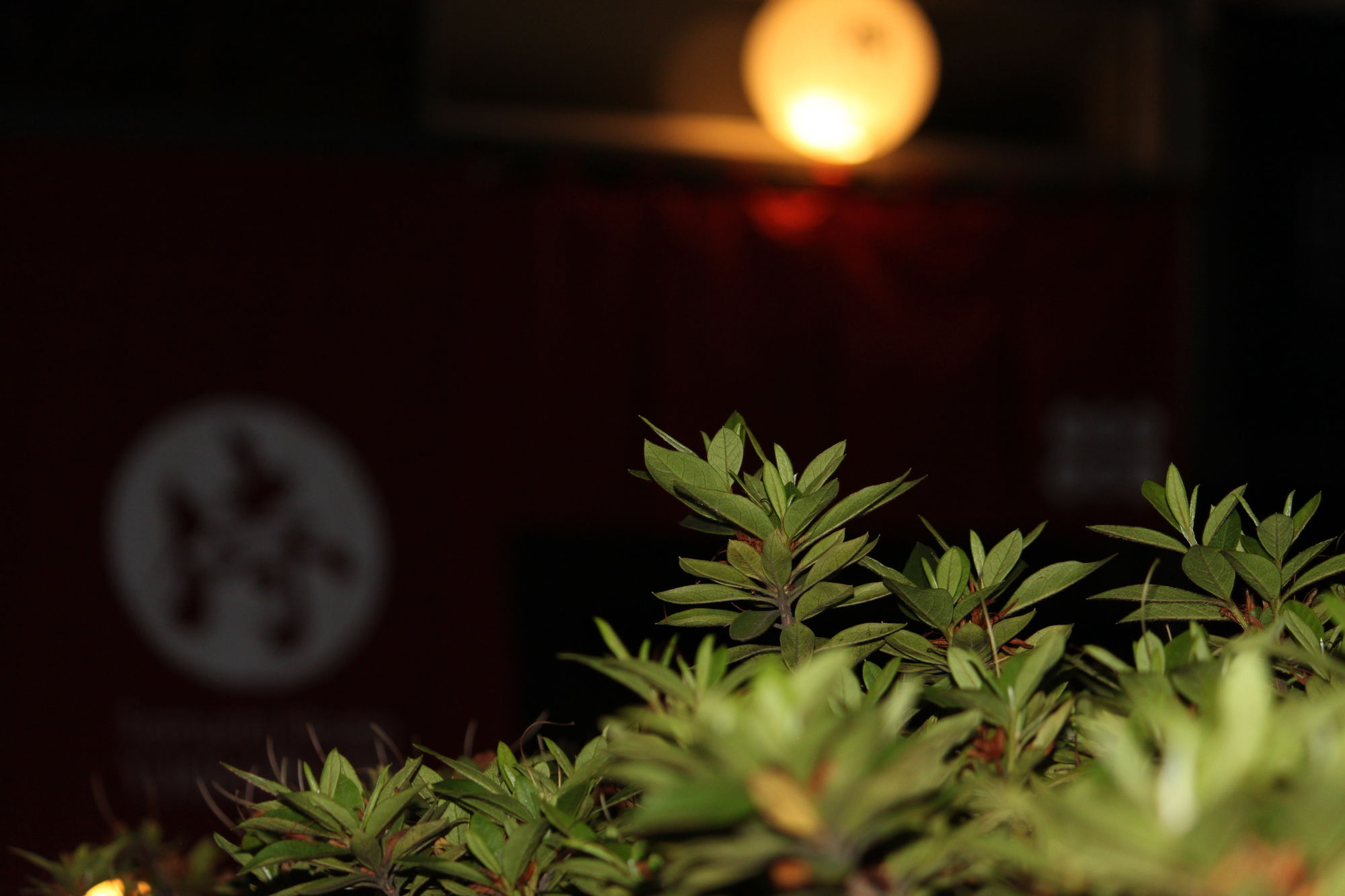 Samurai House Yukimura