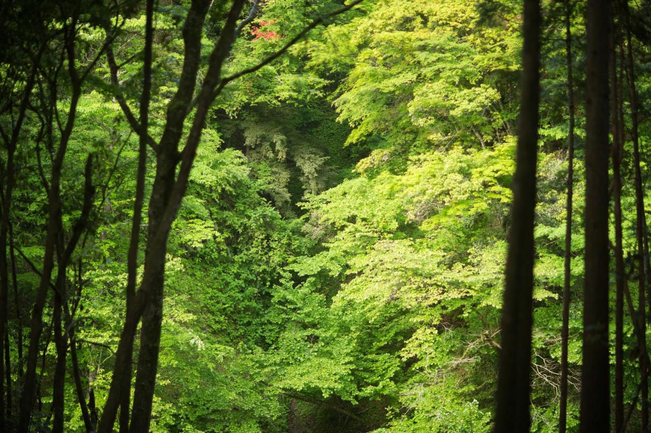 Hanasansui