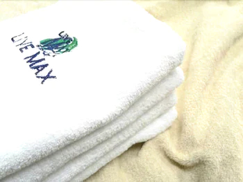 Hotel Livemax Sagamihara Ekimae