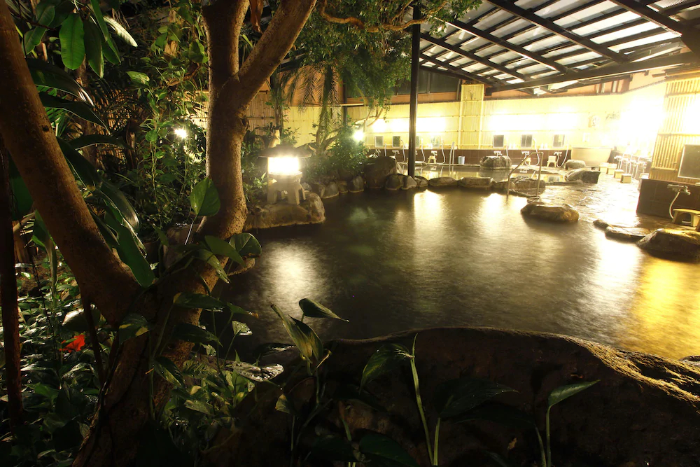 Hotel Shinayoshi Ryokan