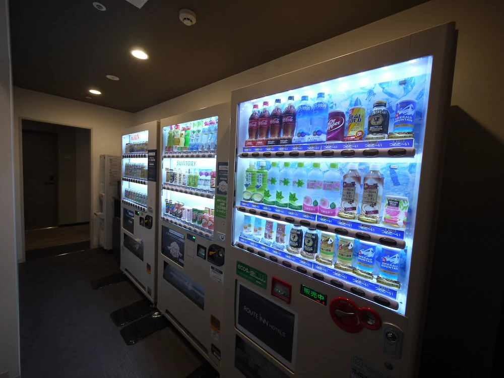 Hotel Route Inn Shinshiro